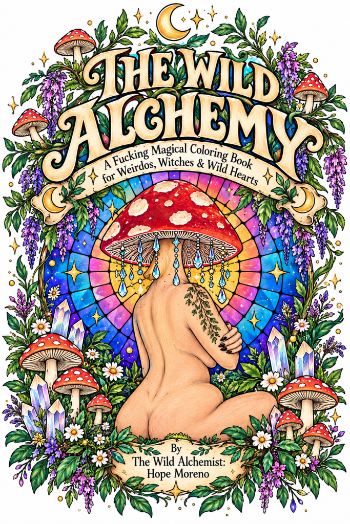 Cover of The Wild Alchemy coloring book: a mushroom-headed figure before a stained-glass window, framed by mushrooms, crystals and flowers